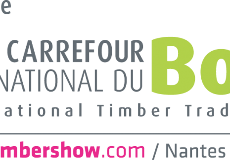 LOGO CARREFOUR DU BOIS